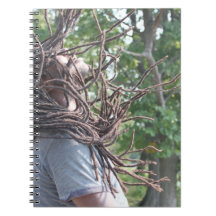 ERIC SMITH E AS POUCAS RAÍZES