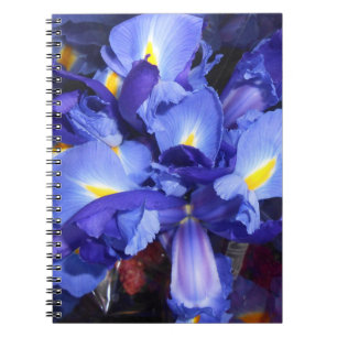 Caderno Espiral Ermengarde