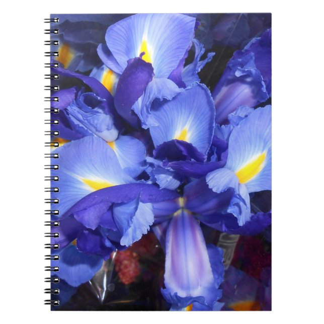 Caderno Espiral Ermengarde (Frente)