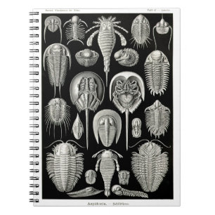 Caderno Espiral Ernst Haeckel Aspidonia