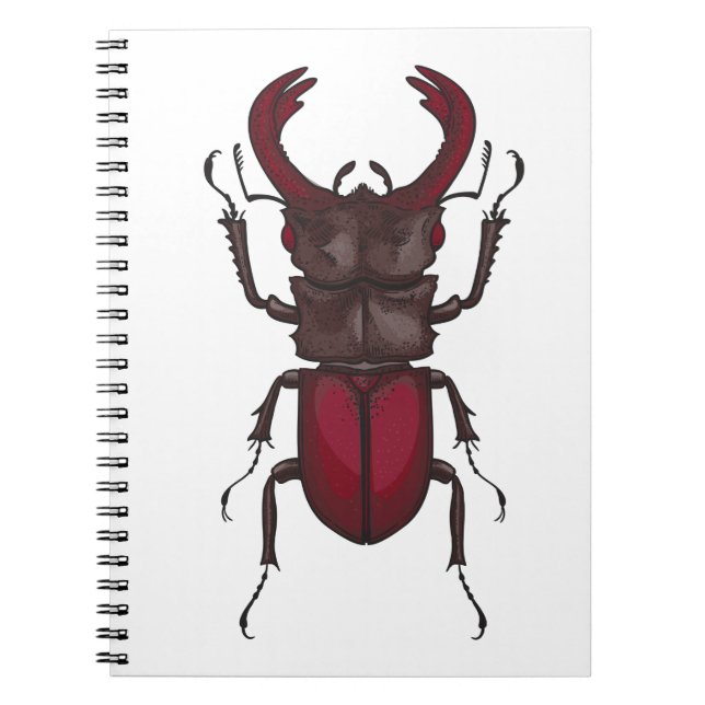 Caderno Espiral Escaravelho (Frente)