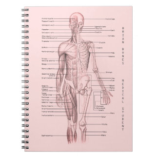 Caderno Espiral Escola personalizada da anatomia diagrama médico