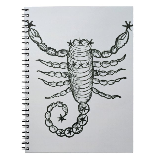 Caderno Espiral Escorpião (o escorpião) uma ilustração 'do P (Frente)