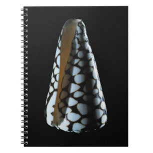 Caderno Espiral Escudo 2 do cone