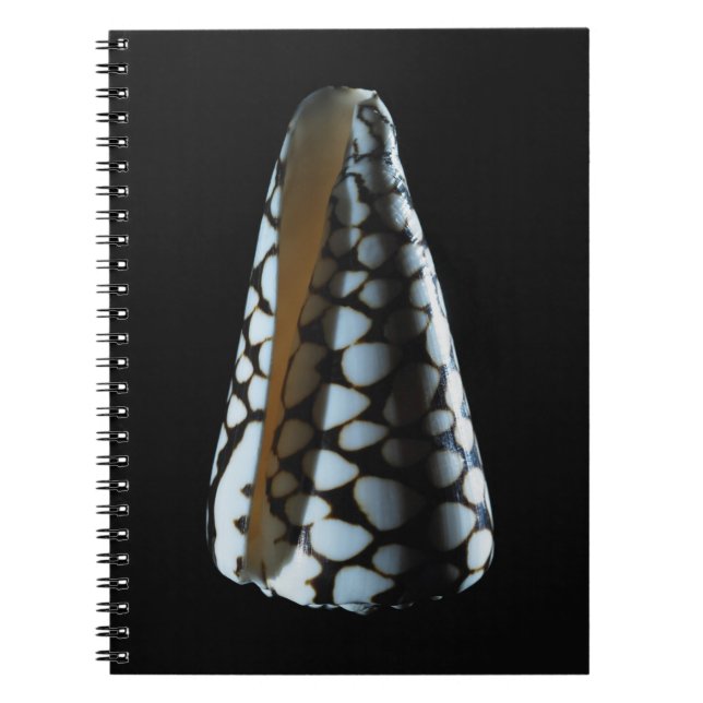 Caderno Espiral Escudo 2 do cone (Frente)
