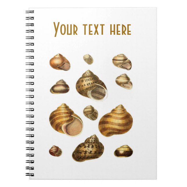 Caderno Espiral Escudos do mar e tema marítimo, escudo marrom do (Frente)