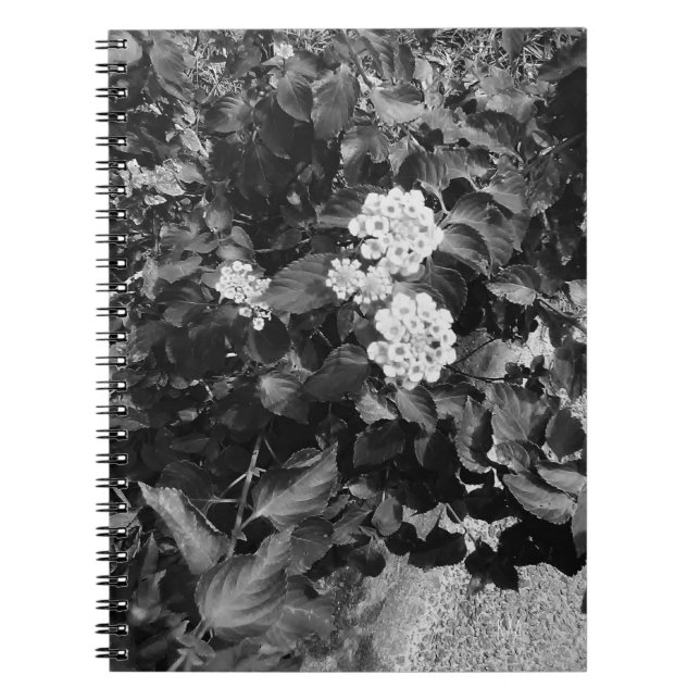 Caderno Espiral Espiral das Flores Velhas (Frente)