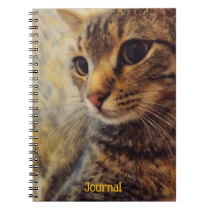 Caderno Espiral Espiral de Diários Personalizados de Arte Cat lega
