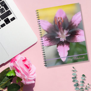 Caderno Espiral Espiral Orquídea lavanda