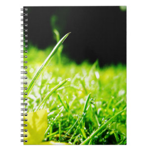 Caderno Espiral espreitadela
