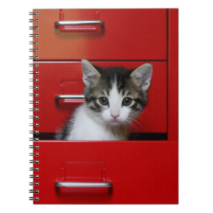 Caderno Espiral Espreitar do gatinho