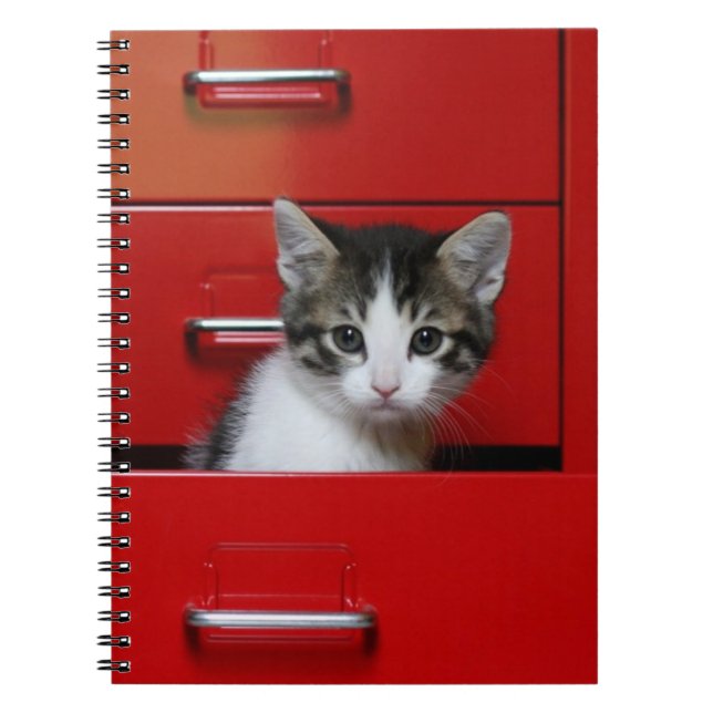 Caderno Espiral Espreitar do gatinho (Frente)