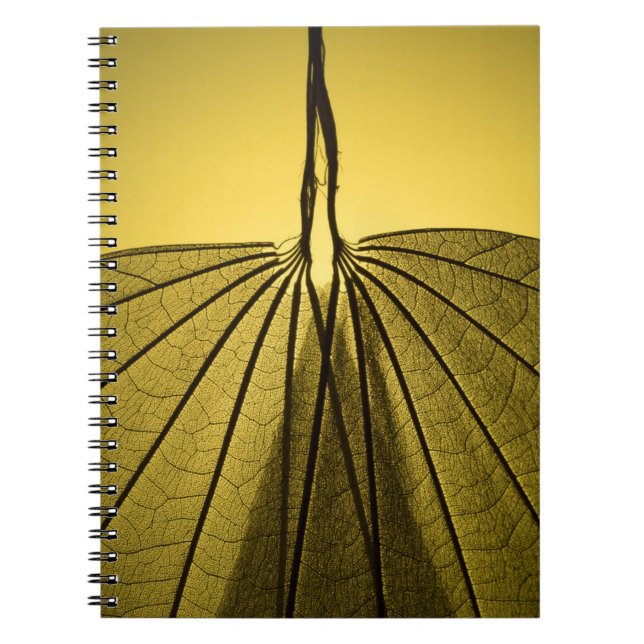 Caderno Espiral Esqueleto da folha (Frente)