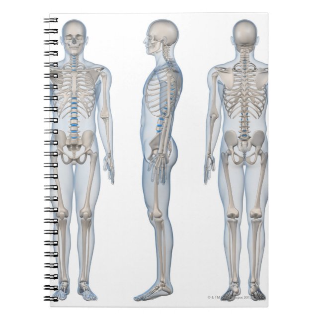 Caderno Espiral Esqueleto masculino 2 (Frente)