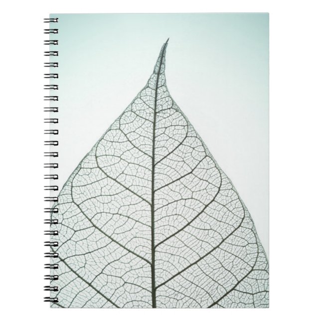 Caderno Espiral Esqueleto verde da folha (Frente)