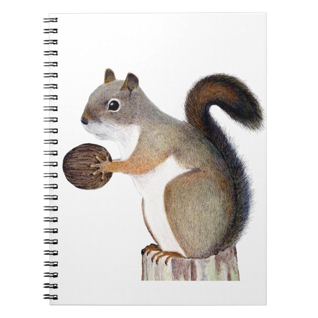 Caderno Espiral Esquilo (Frente)
