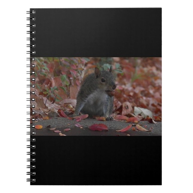 Caderno Espiral Esquilo (Frente)