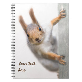 Caderno Espiral Esquilo curioso