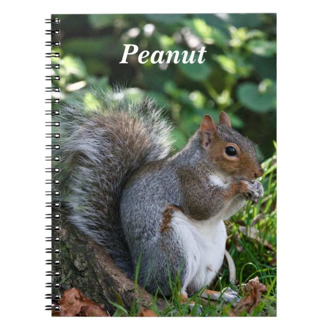 Caderno Espiral Esquilo de Cinzas Personalizado (Frente)