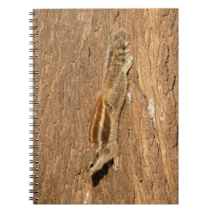 Caderno Espiral Esquilo de Palma Indiano num tronco de Árvore