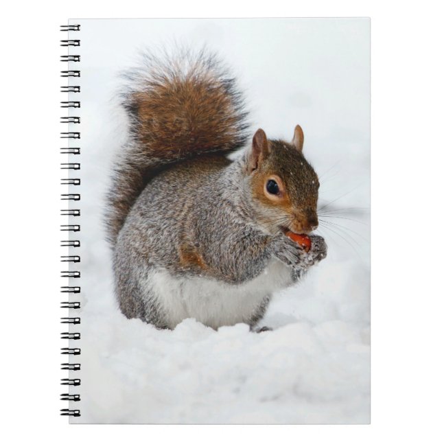 Caderno Espiral Esquilo na neve com notebook Berry (Frente)