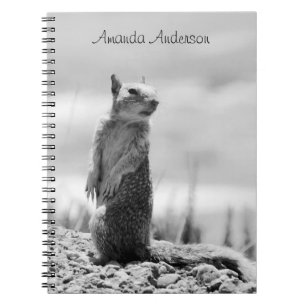 Caderno Espiral Esquilo - Personalizável