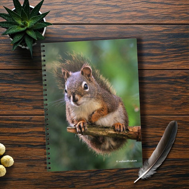Caderno Espiral Esquilo Vermelho de Saucy no Fir (Saucy Red Squirrel Sitting in the Fir Journal Cover Photo)