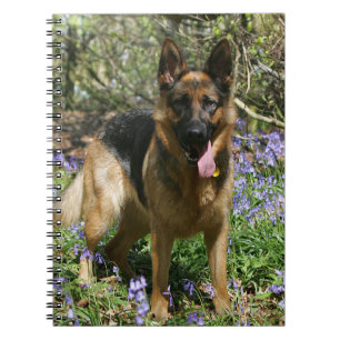 Caderno Espiral Estabelecimento do german shepherd