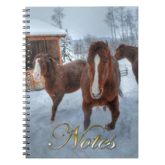Caderno Espiral Estalhão Amoroso Engraçado e Cavalos Mare Relutant
