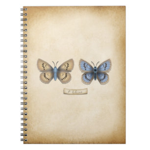 Caderno Espiral Estilo de Vintagem de Especiais de Borboleta Azul