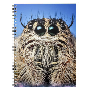 Caderno Espiral Estou de olho em você!
