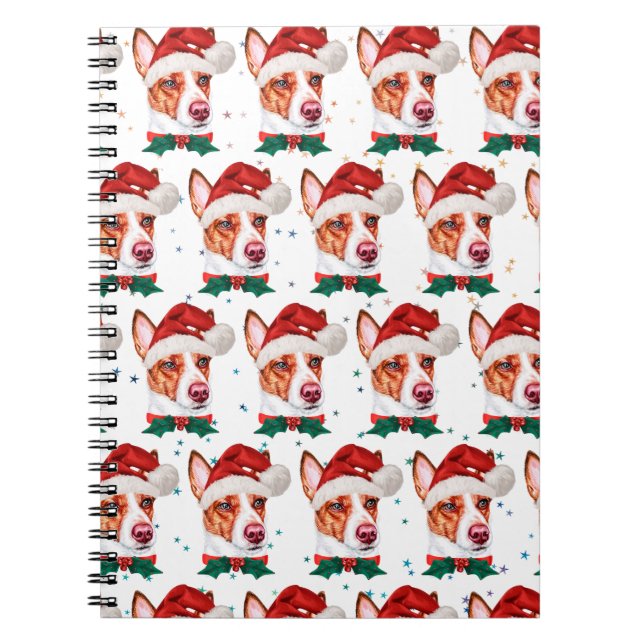 Caderno Espiral Estrelas de Natal do Cachorro Podengo Português (Frente)