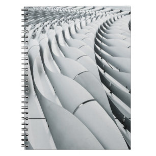 Caderno Espiral Estrutura das cinzas brancas