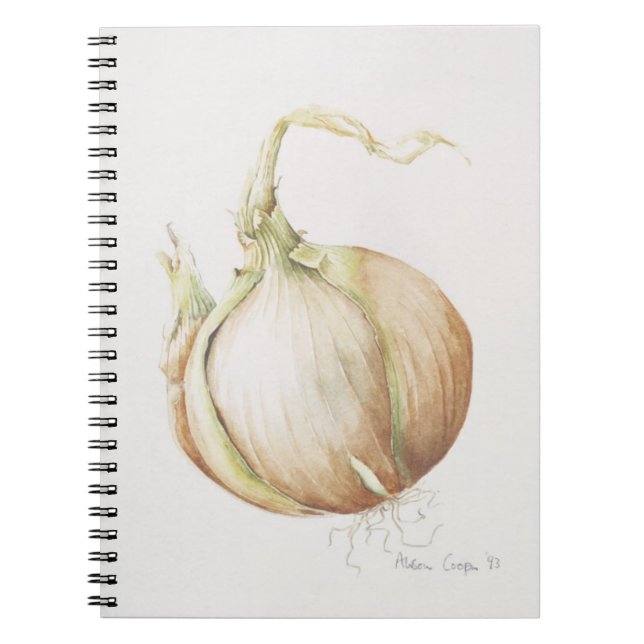 Caderno Espiral Estudo 1993 da cebola (Frente)