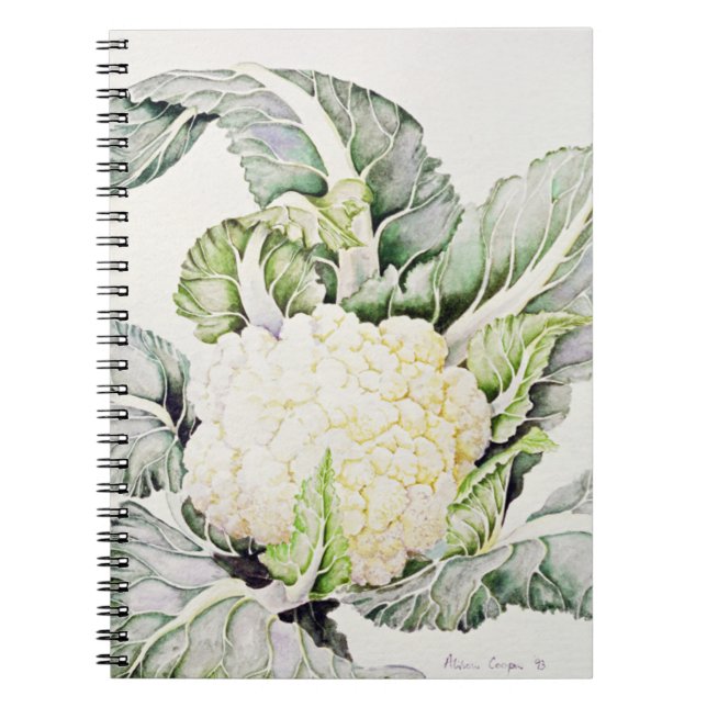 Caderno Espiral Estudo 1993 da couve-flor (Frente)