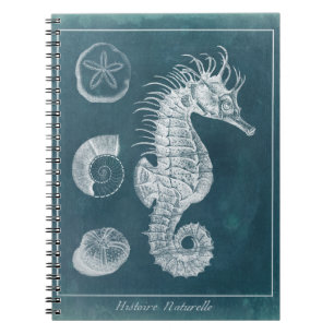 Caderno Espiral Estudo Azure Seacavalo I