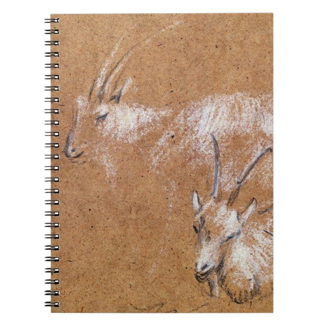 Caderno Espiral Estudo das cabras (desenho) (Frente)