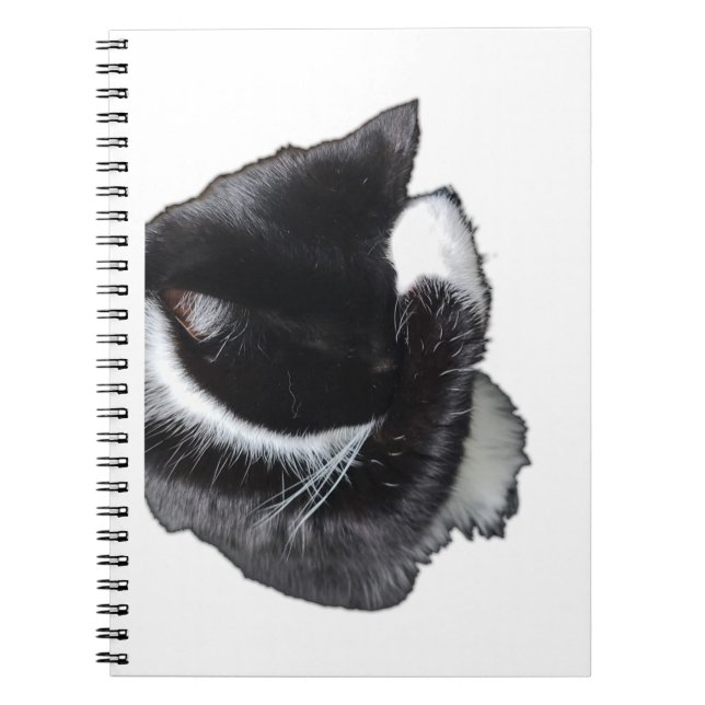 Caderno Espiral Eu Não Posso Nem Agora (Frente)