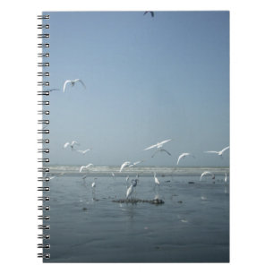 Caderno Espiral Eu posso voar