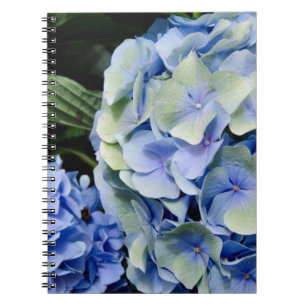 Caderno Espiral EUA, Alabama, Theodore Near Mobile 2