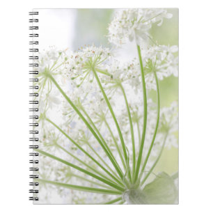 Caderno Espiral EUA, Alaska, Glacier Bay National Park 3