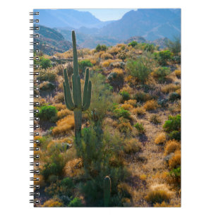 Caderno Espiral EUA, Arizona. Desert View