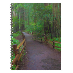 Caderno Espiral EUA, Califórnia. Caminho entre sequóias