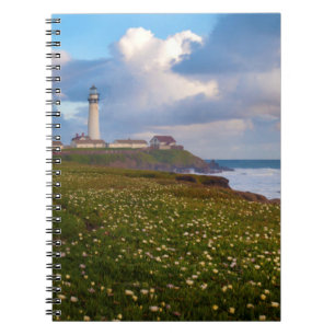 Caderno Espiral EUA, Califórnia. Panorama de Big Sur 2