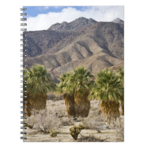 Caderno Espiral EUA, Califórnia, Parque Estadual do Deserto de Anz