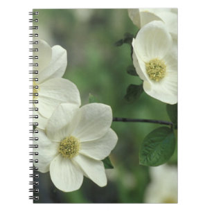 Caderno Espiral EUA, Califórnia, Yosemite NP, ao longo do Merced