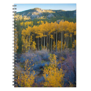 Caderno Espiral EUA, Colorado. Álamos Amarelos Brilhantes nas Mont