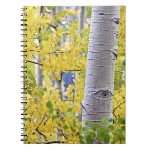 Caderno Espiral EUA, Colorado, Montanhas Rochosas. Intimo álamo 2