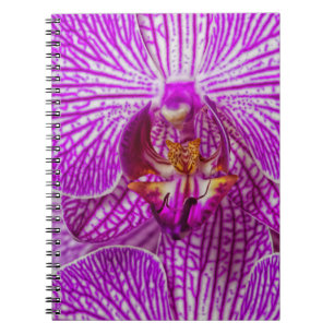 Caderno Espiral EUA, Geórgia, Savannah, Close-Up De Orquídea