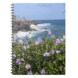 Caderno Espiral EUA, Havaí, Kauai, perto de Kapaa, noroeste
